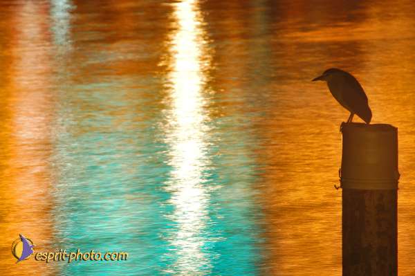 Nom de l'image : D1198100-1 — Description :  Voyage en Terre Sainte avec Jeunesse Lumière