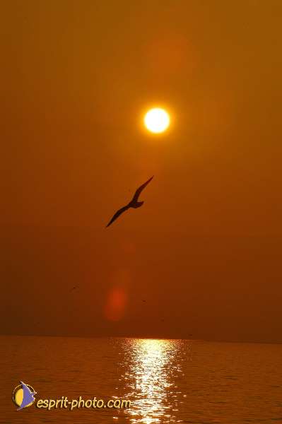 Nom de l'image : D1198138-1 — Description :  Voyage en Terre Sainte avec Jeunesse Lumière