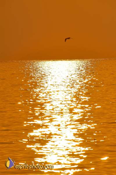 Nom de l'image : D1198140-1 — Description :  Voyage en Terre Sainte avec Jeunesse Lumière