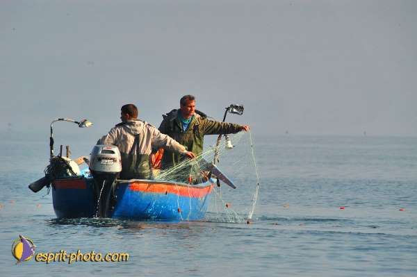 Nom de l'image : D1199100-1 — Description :  Voyage en Terre Sainte avec Jeunesse Lumière