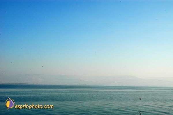Nom de l'image : D1199190-1 — Description :  Voyage en Terre Sainte avec Jeunesse Lumière