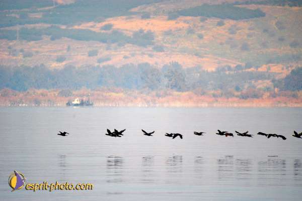 Nom de l'image : D1199309-1 — Description :  Voyage en Terre Sainte avec Jeunesse Lumière
