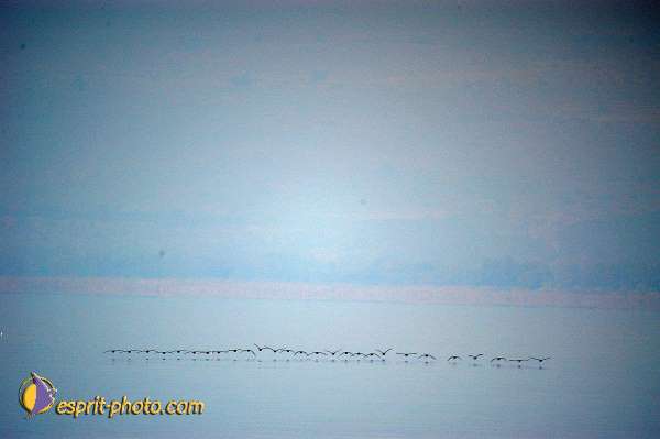 Nom de l'image : D1199333-1 — Description :  Voyage en Terre Sainte avec Jeunesse Lumière