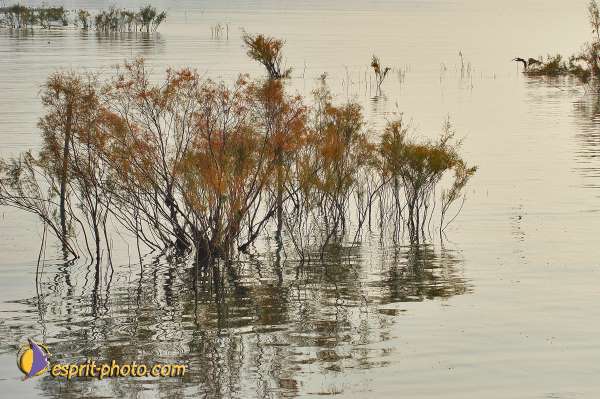 Nom de l'image : D1199355-1 — Description :  Voyage en Terre Sainte avec Jeunesse Lumière