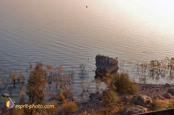 Nom de l'image : E00022177-1 — Description :