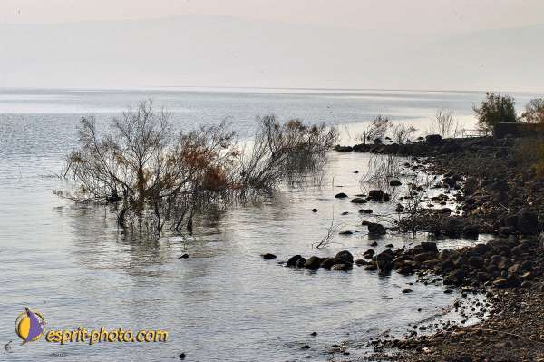 Nom de l'image : E00022718-1 — Description :