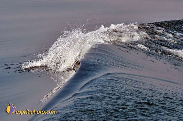 Nom de l'image : E00022799-1 — Description :