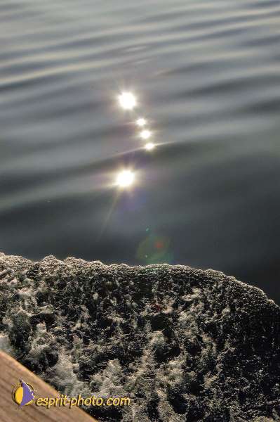 Nom de l'image : E00022851-1 — Description :