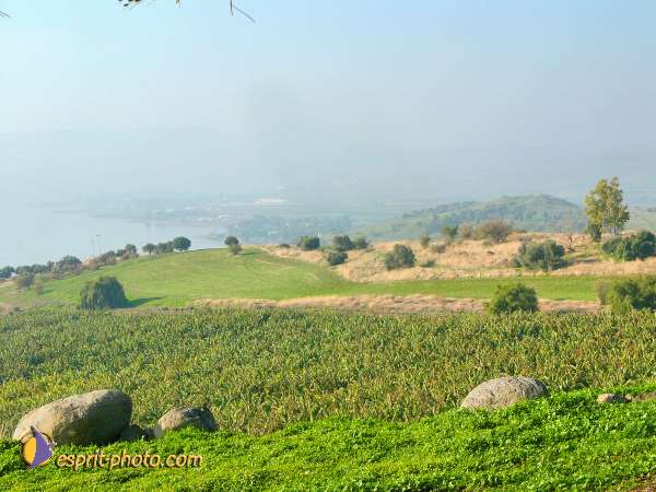 Nom de l'image : L1020308-1 — Description :  Voyage en Terre Sainte avec Jeunesse Lumière
