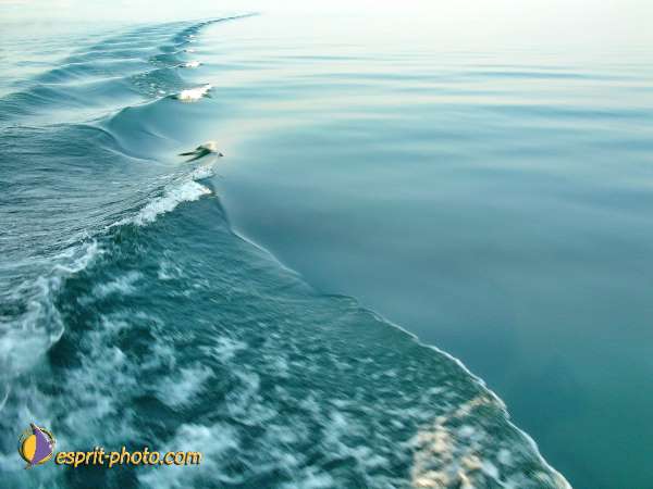 Nom de l'image : L1020627-1 — Description :  Voyage en Terre Sainte avec Jeunesse Lumière