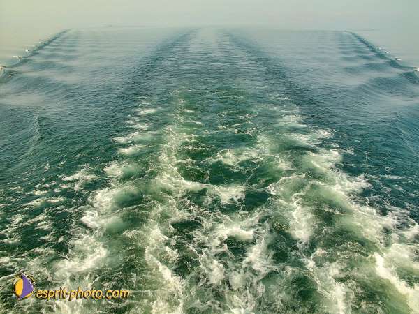 Nom de l'image : L1020669-1 — Description :  Voyage en Terre Sainte avec Jeunesse Lumière