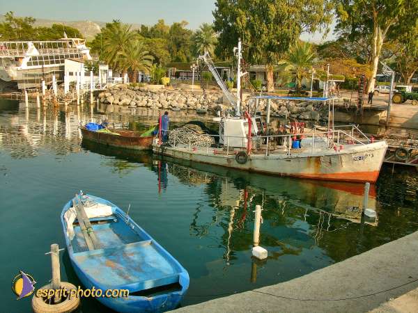 Nom de l'image : L1020691-1 — Description :  Voyage en Terre Sainte avec Jeunesse Lumière