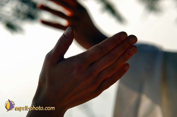 Nom de l'image : E00022250-1 — Description :