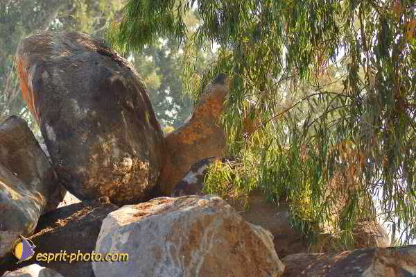 Nom de l'image : D1198585-1 — Description :  Voyage en Terre Sainte avec Jeunesse Lumière