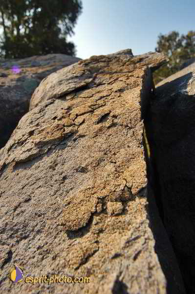 Nom de l'image : D1198622-1 — Description :  Voyage en Terre Sainte avec Jeunesse Lumière