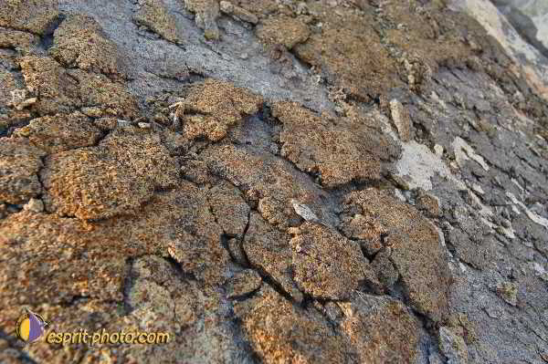 Nom de l'image : D1198627-1 — Description :  Voyage en Terre Sainte avec Jeunesse Lumière