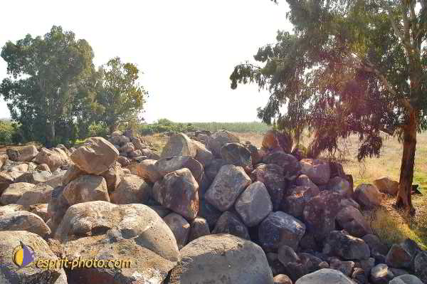 Nom de l'image : D1198631-1 — Description :  Voyage en Terre Sainte avec Jeunesse Lumière