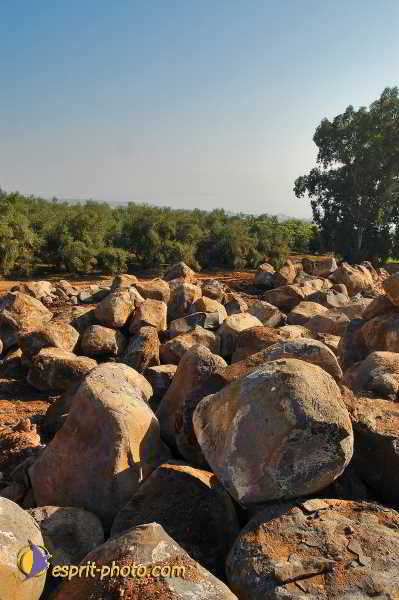 Nom de l'image : D1198633-1 — Description :  Voyage en Terre Sainte avec Jeunesse Lumière