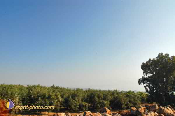 Nom de l'image : D1198634-1 — Description :  Voyage en Terre Sainte avec Jeunesse Lumière