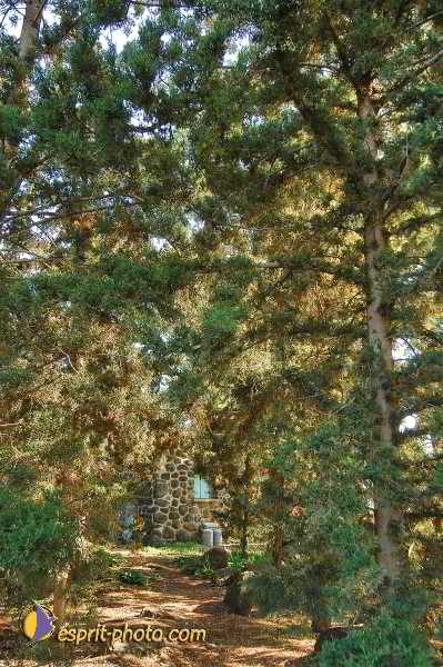 Nom de l'image : D1198644-1 — Description :  Voyage en Terre Sainte avec Jeunesse Lumière