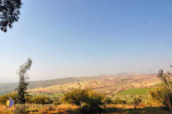 Nom de l'image : E00022439-1 — Description :