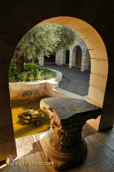 Nom de l'image : D1198755-1 — Description :  Voyage en Terre Sainte avec Jeunesse Lumière