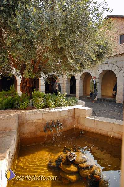 Nom de l'image : E00022473-1 — Description :