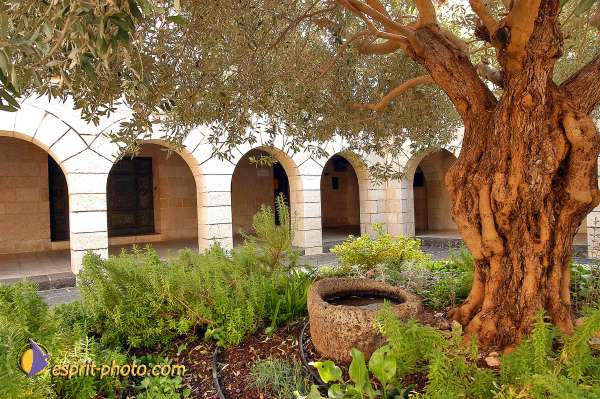 Nom de l'image : E00022484-1 — Description :