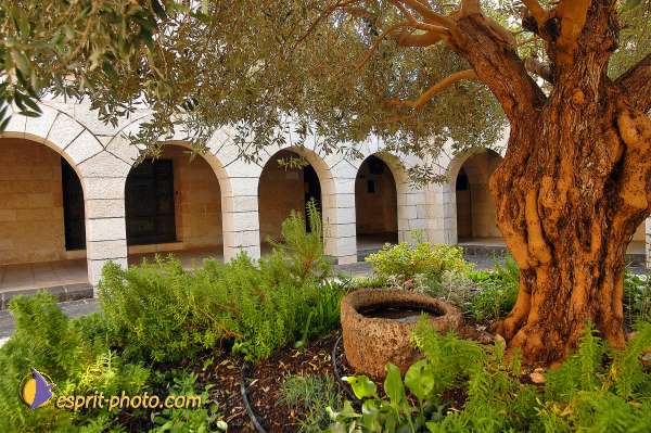 Nom de l'image : E00022485-1 — Description :