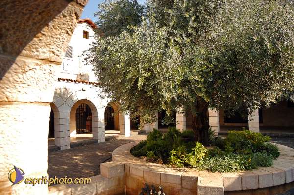 Nom de l'image : E00022493-1 — Description :