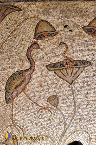 Nom de l'image : E00022527-1 — Description :