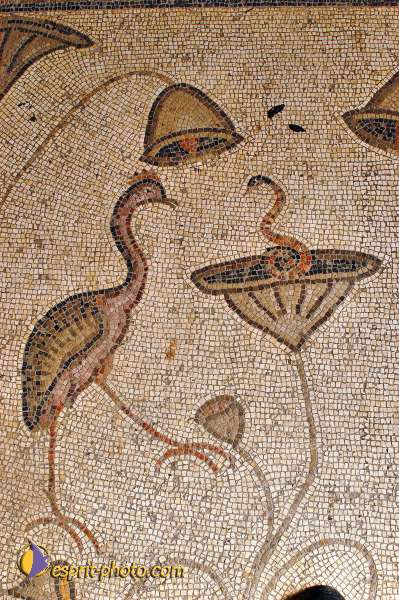 Nom de l'image : E00022528-1 — Description :