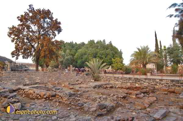 Nom de l'image : D1199449-1 — Description :  Voyage en Terre Sainte avec Jeunesse Lumière