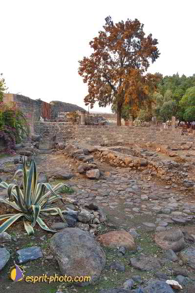 Nom de l'image : D1199451-1 — Description :  Voyage en Terre Sainte avec Jeunesse Lumière