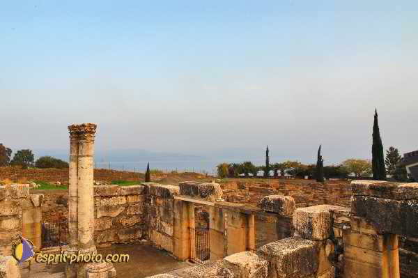 Nom de l'image : D1199511-1 — Description :  Voyage en Terre Sainte avec Jeunesse Lumière