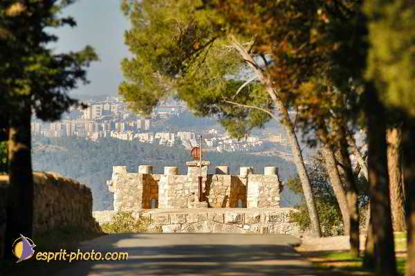 Nom de l'image : D1199742-1 — Description :  Voyage en Terre Sainte avec Jeunesse Lumière