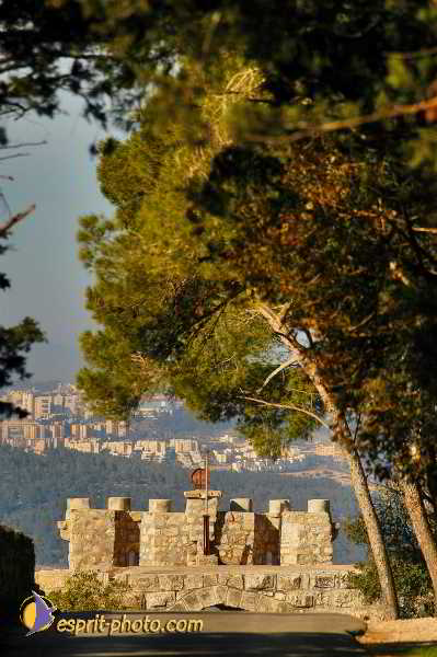 Nom de l'image : D1199743-1 — Description :  Voyage en Terre Sainte avec Jeunesse Lumière