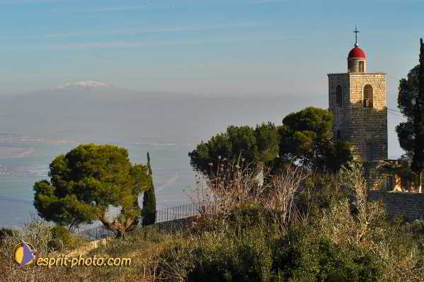 Nom de l'image : D1199747-1 — Description :  Voyage en Terre Sainte avec Jeunesse Lumière