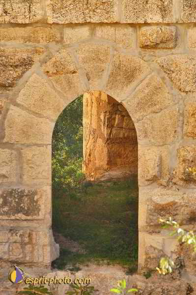 Nom de l'image : D1199777-1 — Description :  Voyage en Terre Sainte avec Jeunesse Lumière