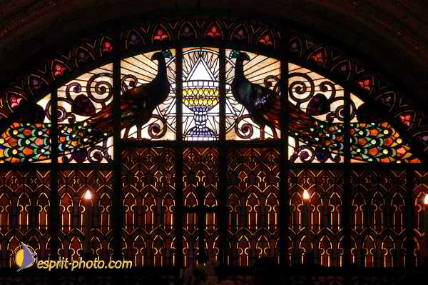 Nom de l'image : D1199800-1 — Description :  Voyage en Terre Sainte avec Jeunesse Lumière