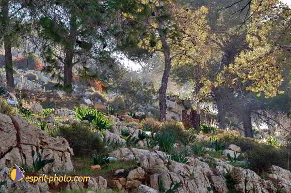 Nom de l'image : E00023049-1 — Description :