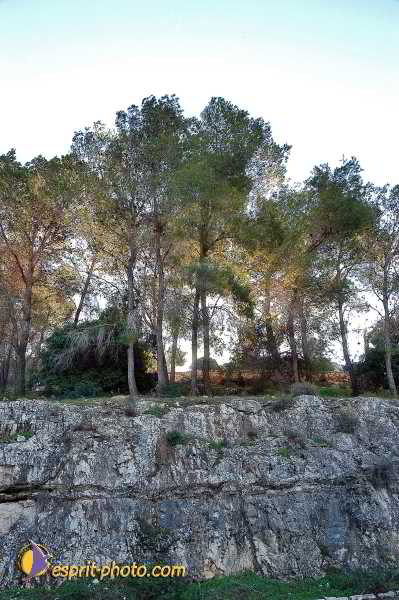 Nom de l'image : E00023057-1 — Description :