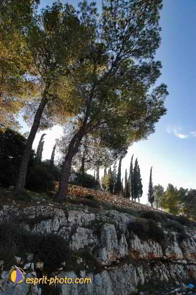 Nom de l'image : E00023062-1 — Description :