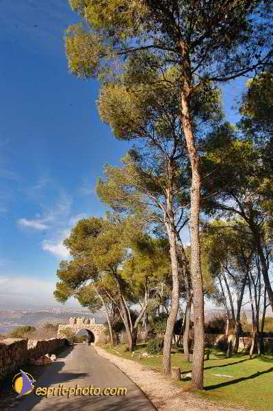 Nom de l'image : E00023152-1 — Description :