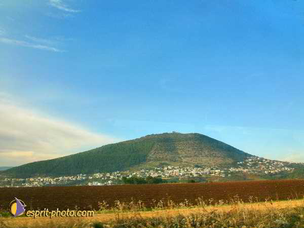 Nom de l'image : L1020726-1 — Description :  Voyage en Terre Sainte avec Jeunesse Lumière