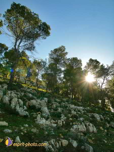 Nom de l'image : L1020744-1 — Description :  Voyage en Terre Sainte avec Jeunesse Lumière