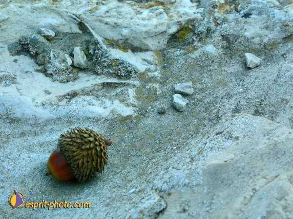 Nom de l'image : L1020758-1 — Description :  Voyage en Terre Sainte avec Jeunesse Lumière