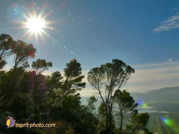 Nom de l'image : L1020773-1 — Description :  Voyage en Terre Sainte avec Jeunesse Lumière