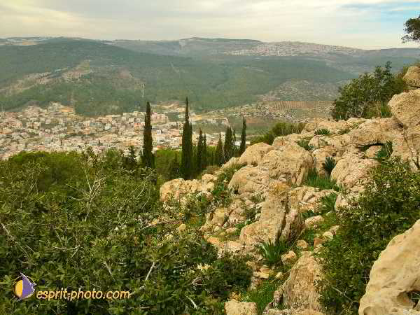 Nom de l'image : L1020881-1 — Description :  Voyage en Terre Sainte avec Jeunesse Lumière
