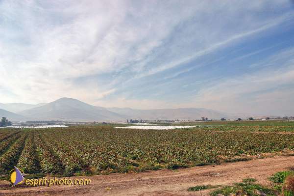 Nom de l'image : E00023417-1 — Description :